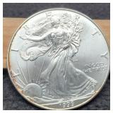 1999 Silver Eagle