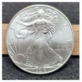 2010 Silver Eagle