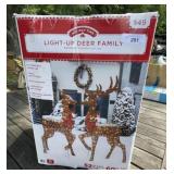 Light Up Deer Family