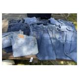 Ladies Blue Jeans