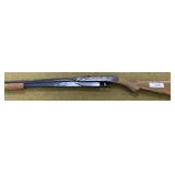 Daisy 25 BB Gun