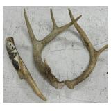 Antlers