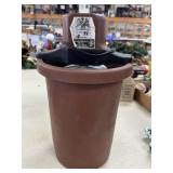 4 QT Ice Cream freezer