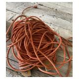 Extension Cord