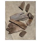 8pcs Flat Walnut Driftwood,Tree Knots & Hall Tree
