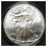 2009 1oz Silver Eagle BU in Capsule