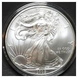 2009 1oz Silver Eagle BU in Capsule