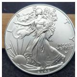 2022 Silver Eagle