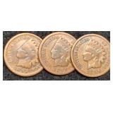 (3) Indian Head Cents 1893, 95, 96
