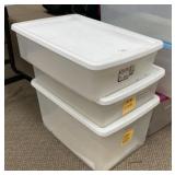 3 - Storage Totes with Lids