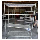 Chrome Shelf on Rollers