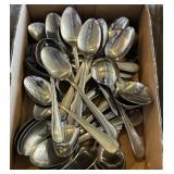 Stainless Spoons