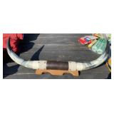 32" Steer Horns