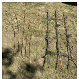 2 - Trellises