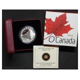 2013 Canada 1/2oz .999 Silver Niagara Falls Coin