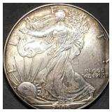 2009 1oz Silver Eagle Toned
