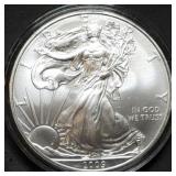 2009 1oz Silver Eagle BU in Capsule