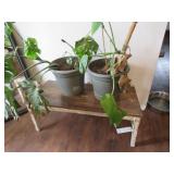 (2) Plants w/ Stand