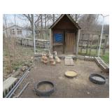 (5) Runner Ducks