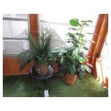 (2) Artificial Plants w/ Stand