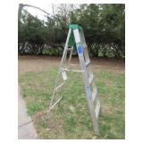 Werner 6' Step Ladder