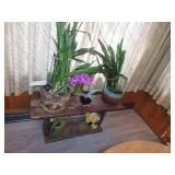 Plants w/ Stand