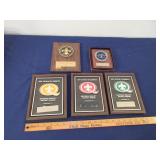Boy Scout Awards