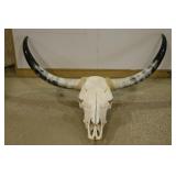 Long Horn Skull