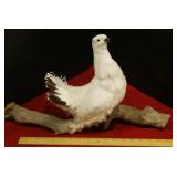 Taxidermy Ptarmigan Bird on Branch