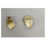 Elk Ivory Teeth 2 Pc Lot