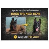 *Sponsor a Transformation - Build the Next 'Bear'