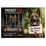 Project 250: From Intake Number to Identity