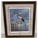Ducks Unlimited 'Solitary Snow Goose' Art Print