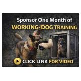 *One Month Working Dog Sponsorship