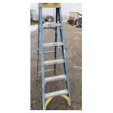 Werner 6Ft Ladder 250 Lb Rating