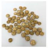 Sea Urchin Fossils Approx 50 Count