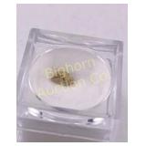 Nome Alaska Gold Nugget .106 Gram