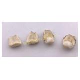 Elk Ivory 4 PC Lot