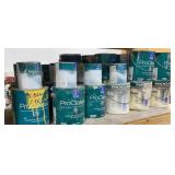 Contents of Shelf: Paint  Assortment Mostly