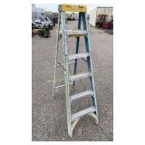 Werner 6 Ft Fiberglass Ladder