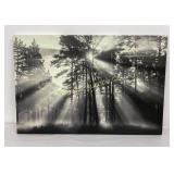 Woodland Light Stretched Canvas Art Print