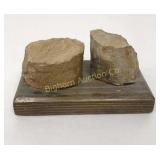 Petrified Display
