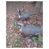 Plastic Yard Geese