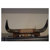 2 sets of horns, mounted together