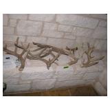 MIsc deer horns lot