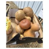 Box of Gourds