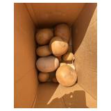 Box of Gourds