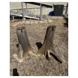 36-42" Cypress root