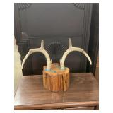 Handcrafted deer antlers on wood stump