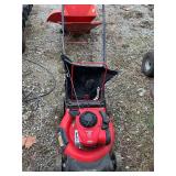 Craftsman Push Mower w bag